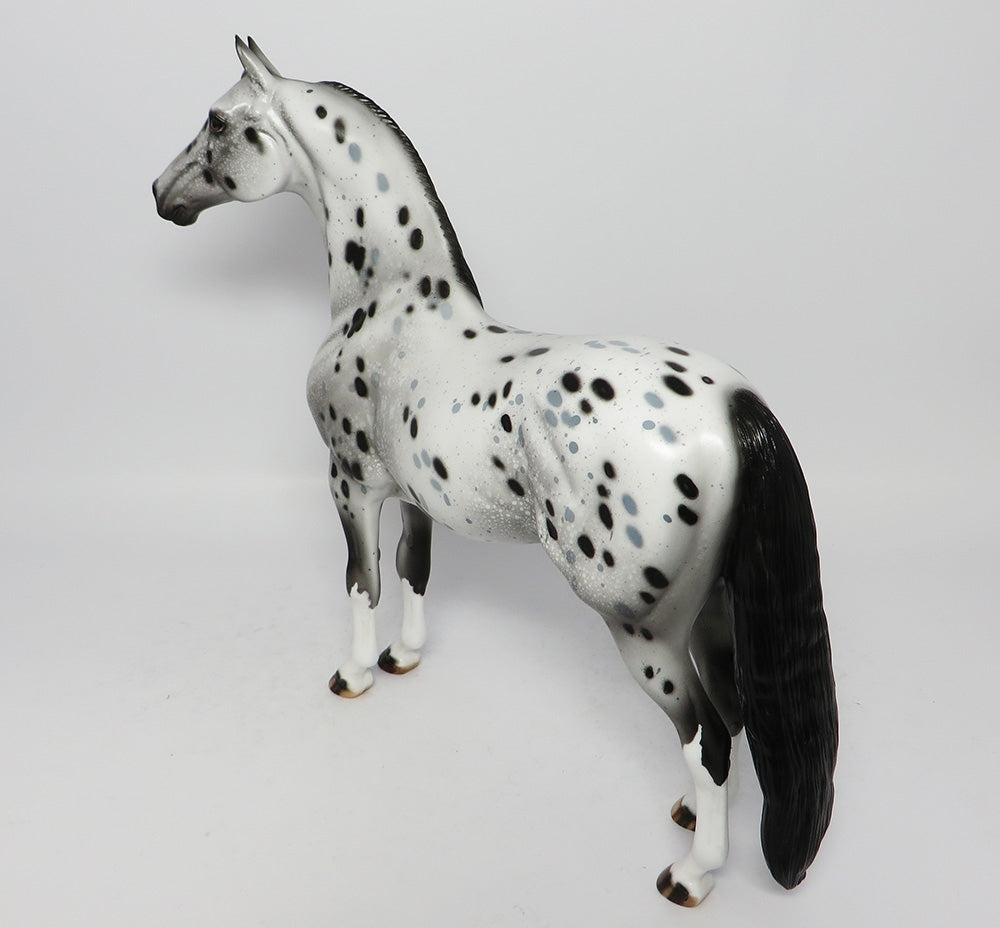 TYREAL-OOAK LEOPARD APPALOOSA MORGAN MODEL HORSE BY DAWN QUICK 8/30/17