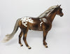 CHOCOLATE PALOMINO