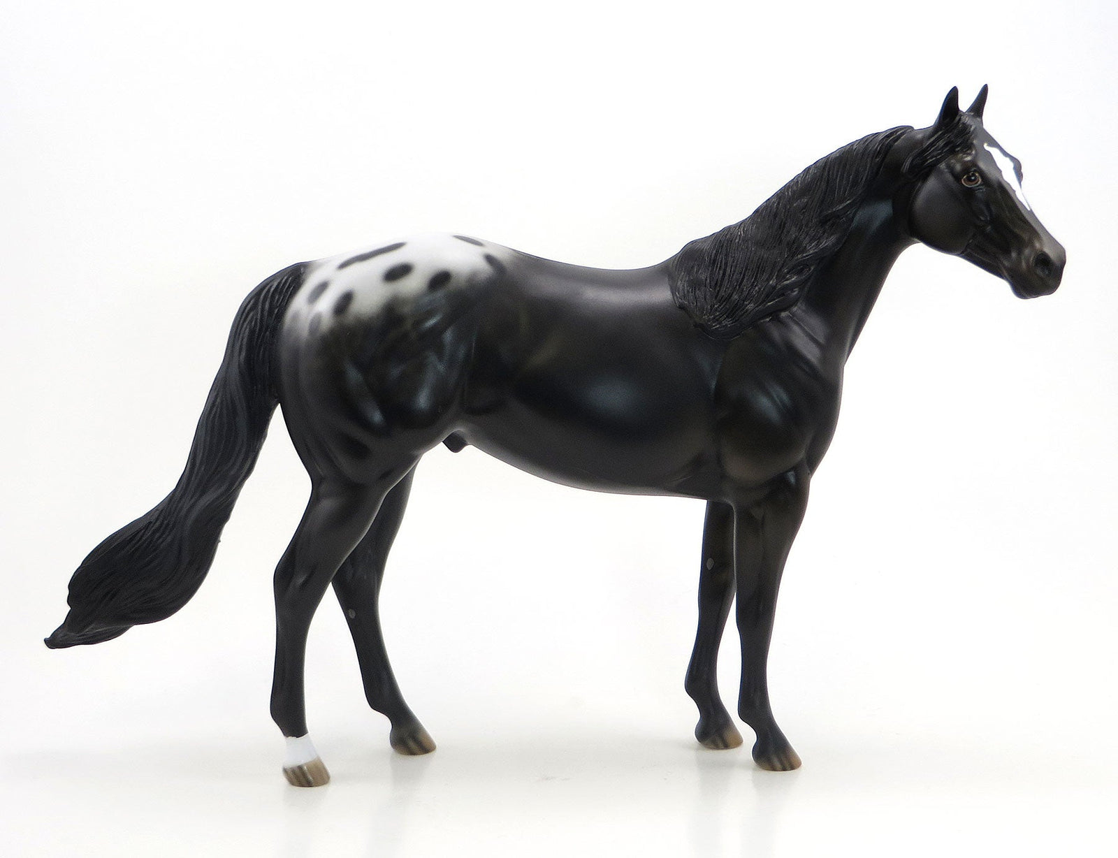 JUGGLO - OOAK Black Blanketed Appaloosa Model Stock Horse - 6/26