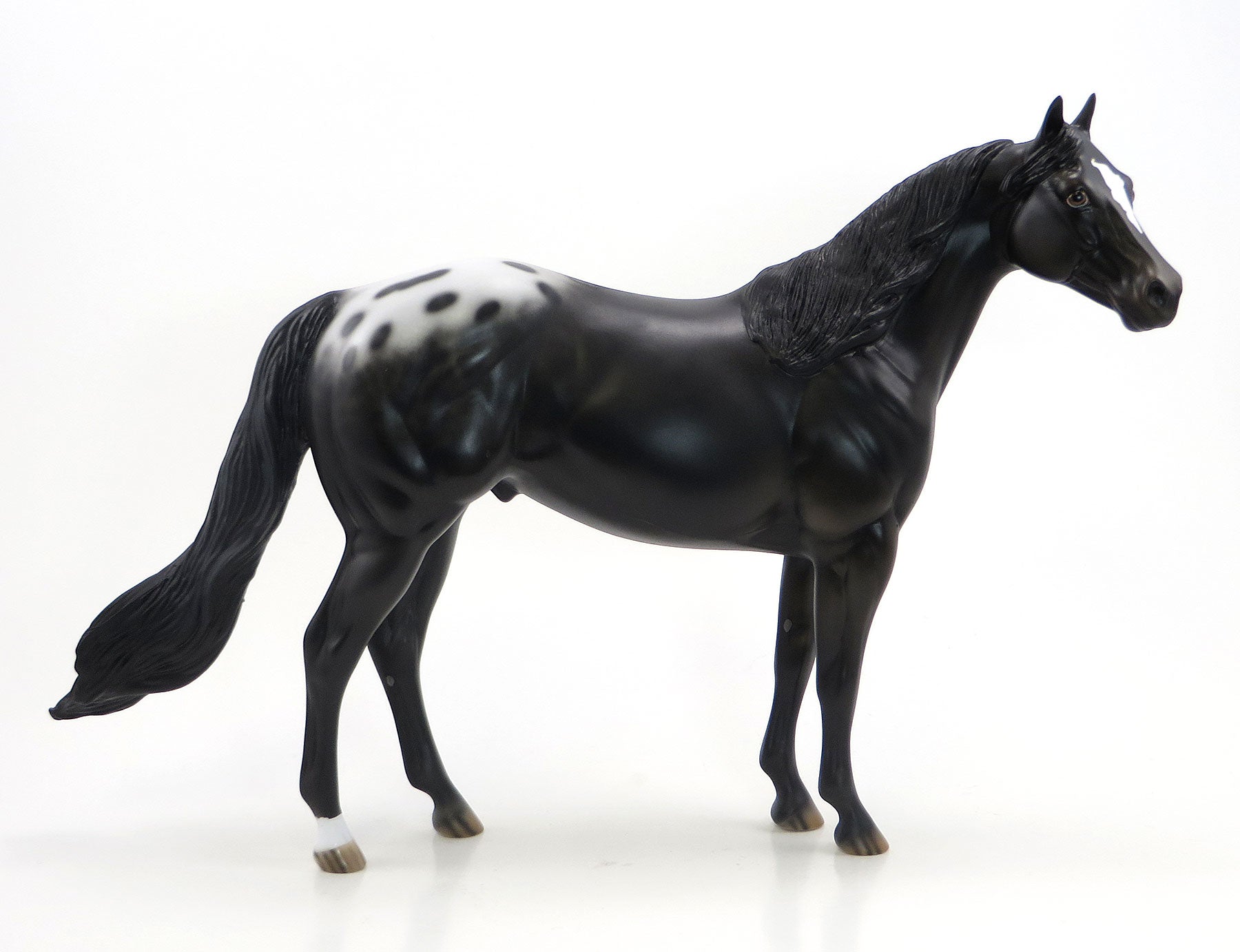 JUGGLO - OOAK Black Blanketed Appaloosa Model Stock Horse - 6/26