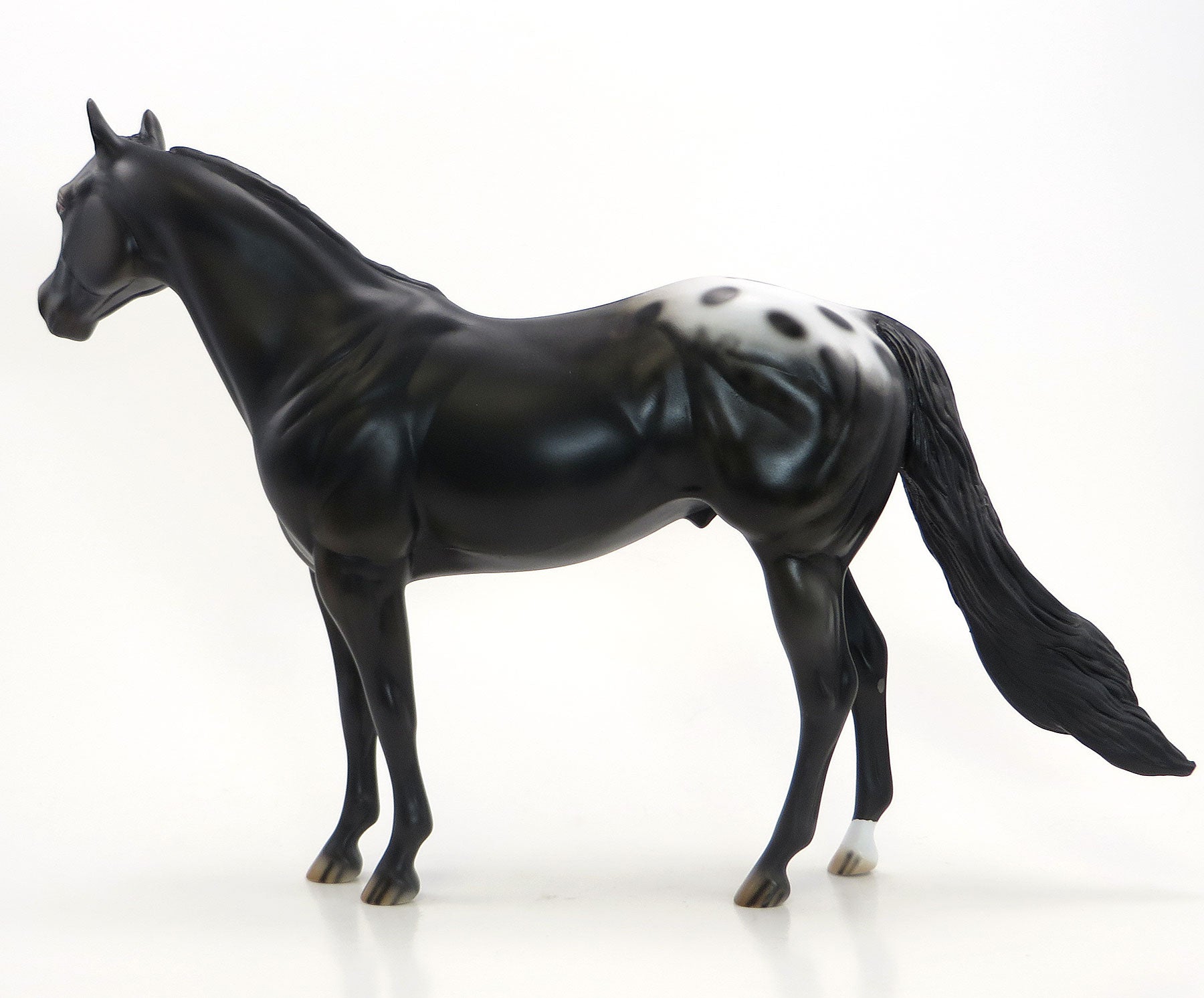 JUGGLO - OOAK Black Blanketed Appaloosa Model Stock Horse - 6/26