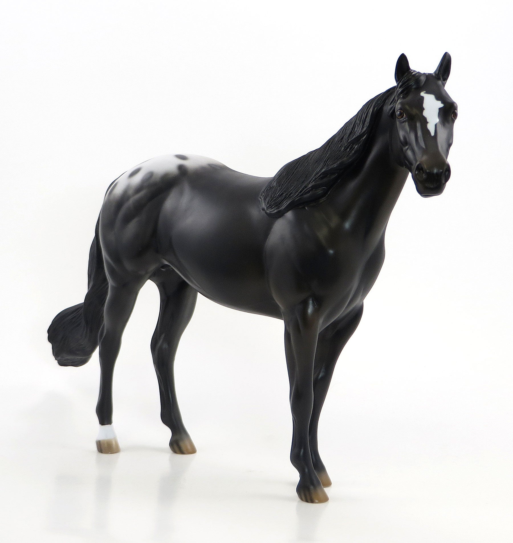 JUGGLO - OOAK Black Blanketed Appaloosa Model Stock Horse - 6/26