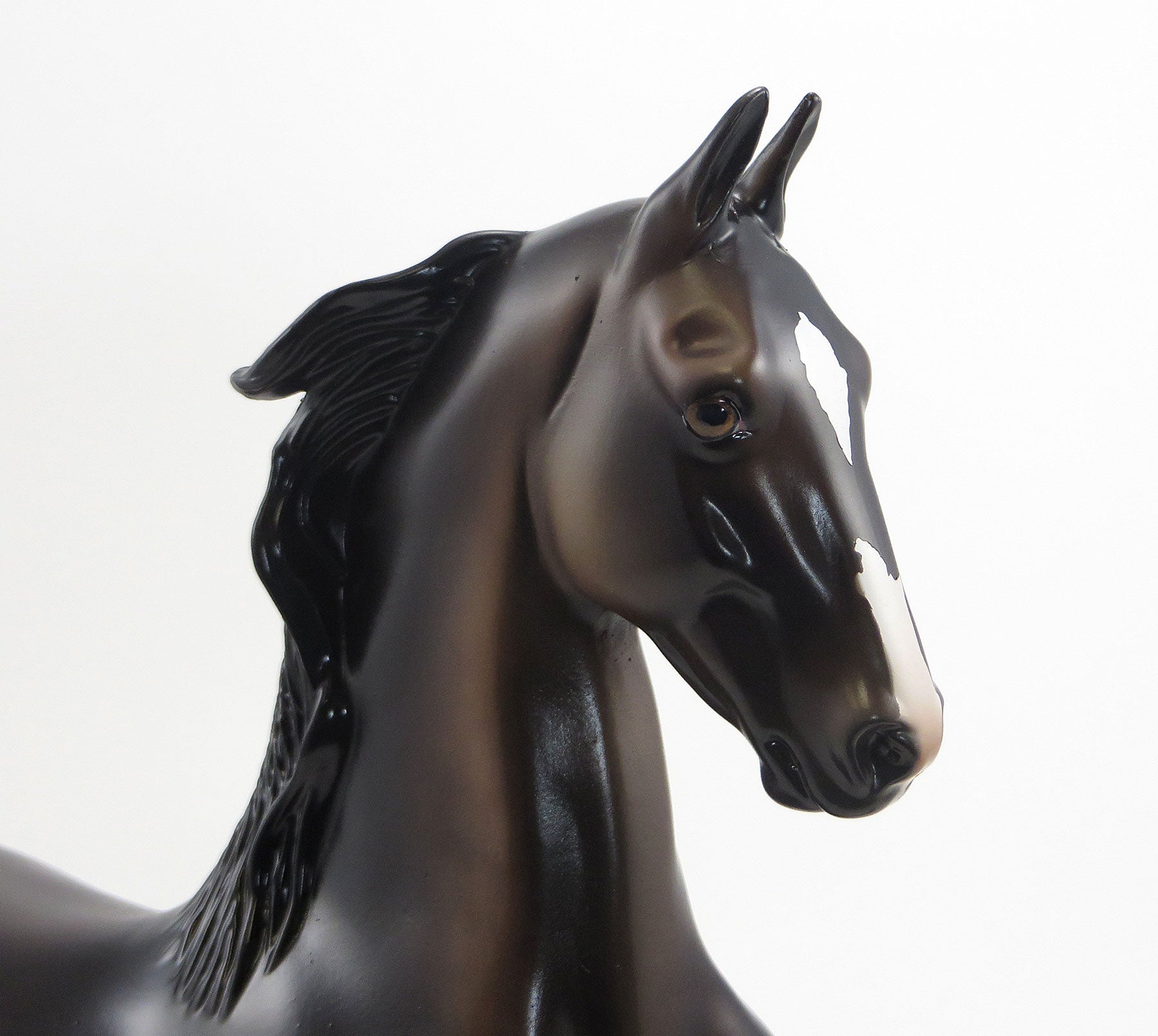 LITTLE BIG TOP - OOAK Seal Bay Appaloosa Saddlebred - 6/26