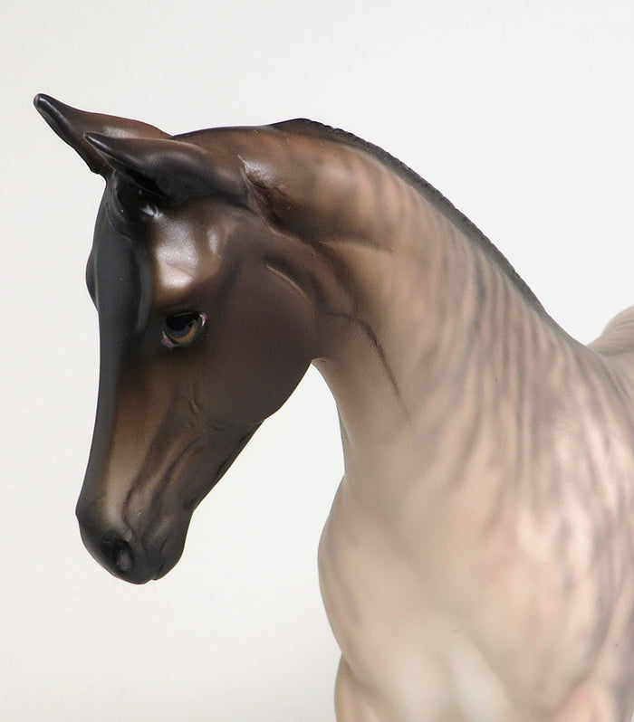 one of a kind brindle weanling 