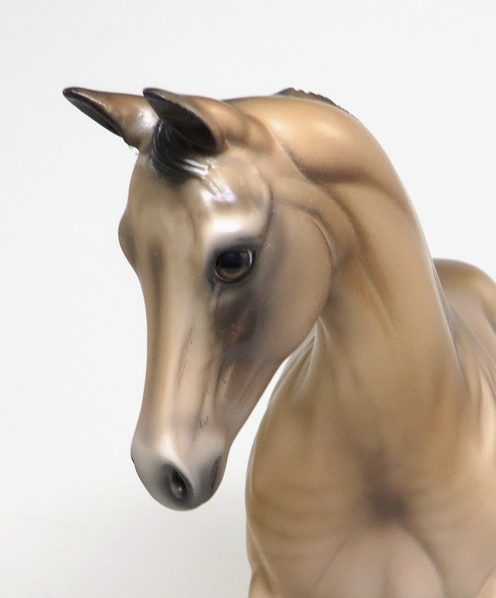 buckskin dun weanling honeysuckle kisses