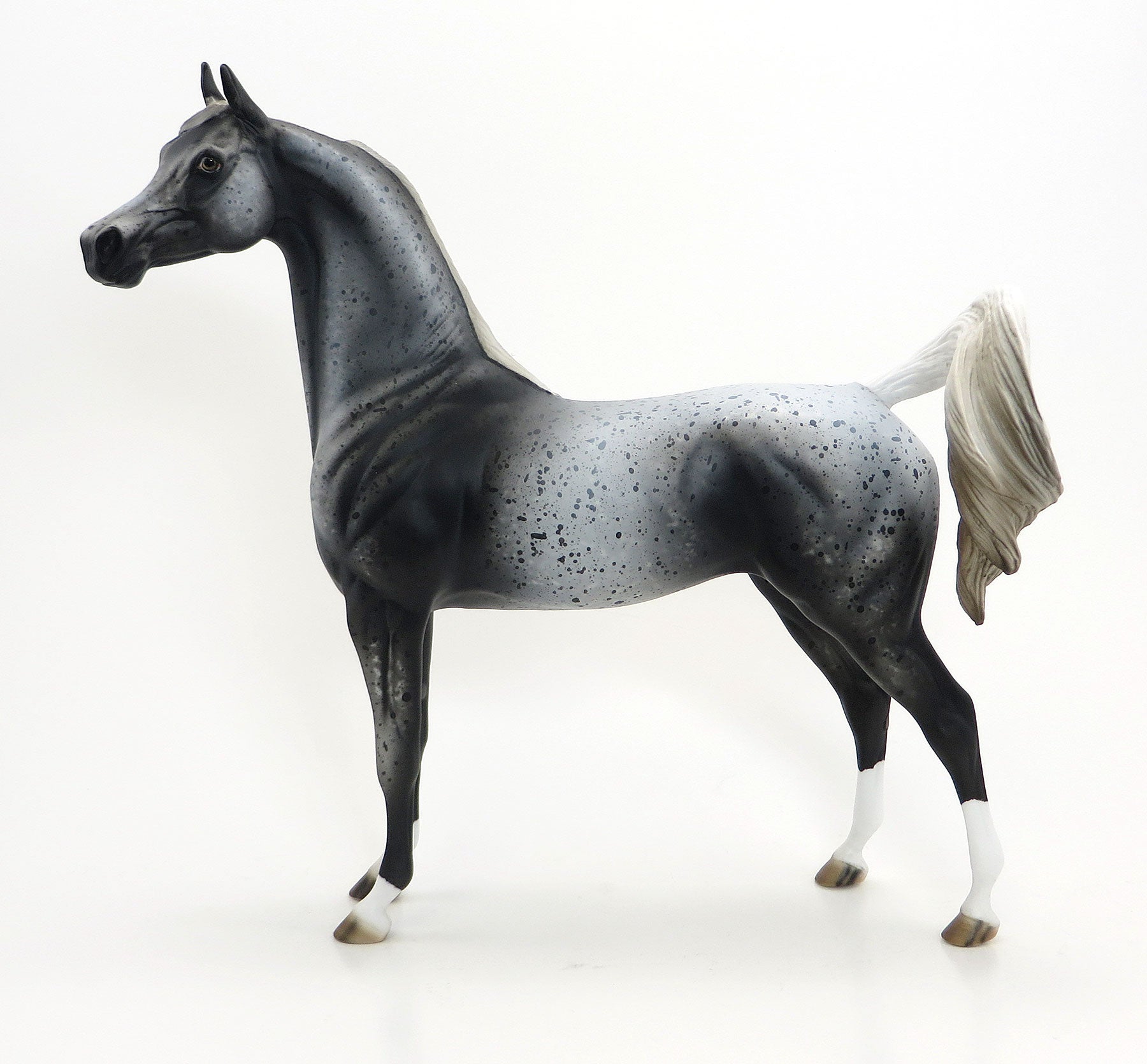 MAZAPPA- OOAK Extreme Leopard Appaloosa Arabian 6/26