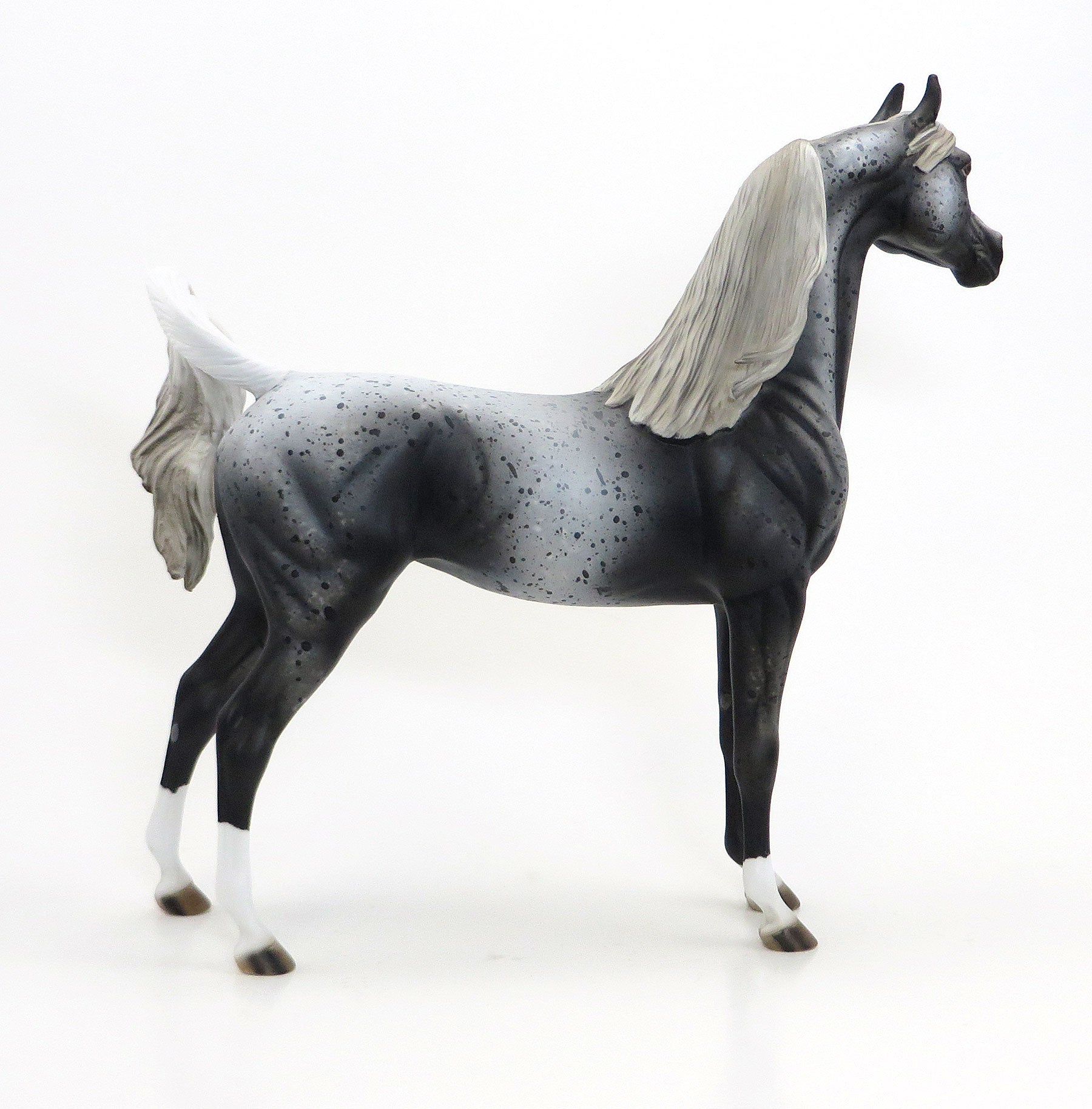 MAZAPPA- OOAK Extreme Leopard Appaloosa Arabian 6/26