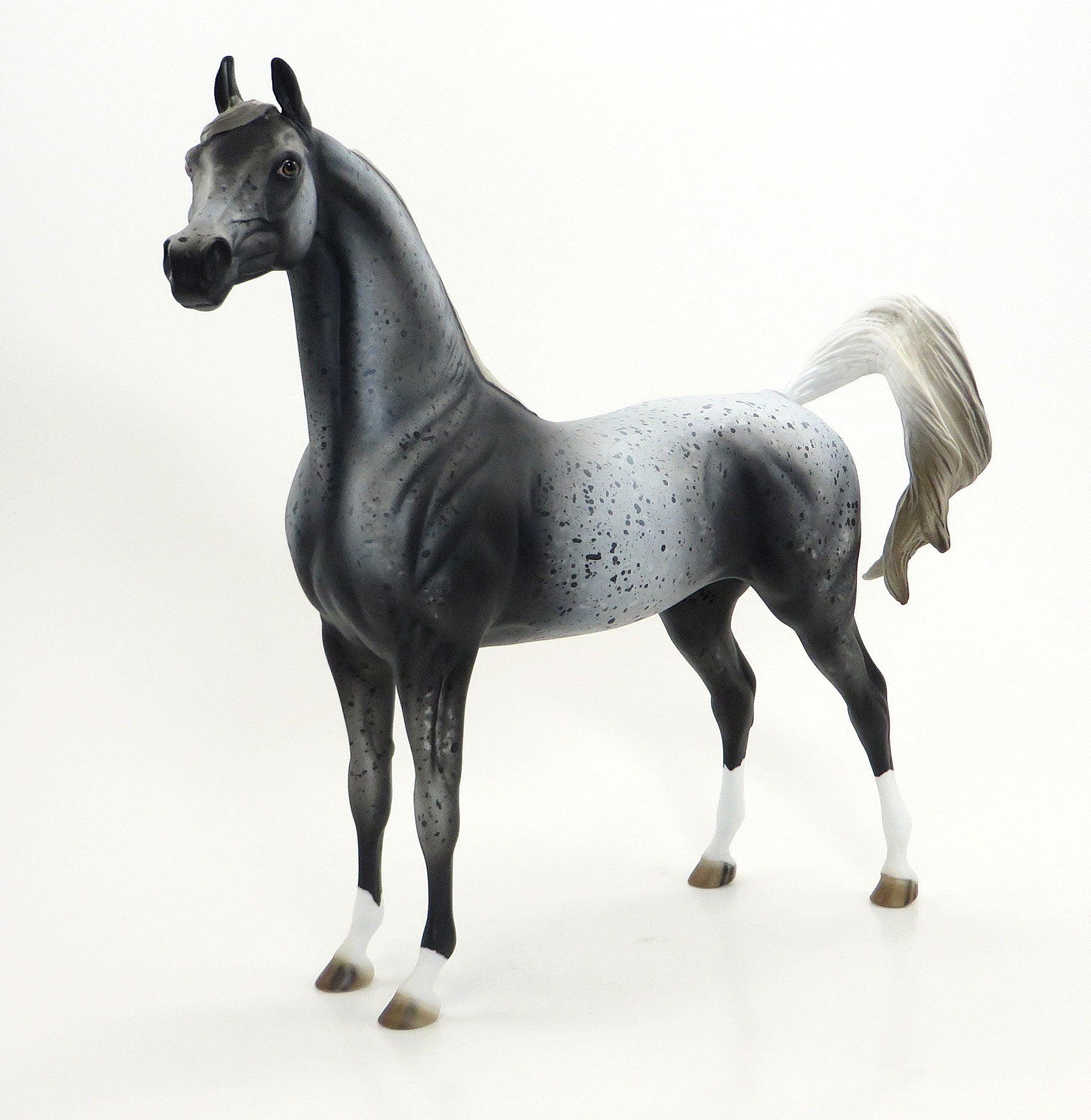 MAZAPPA- OOAK Extreme Leopard Appaloosa Arabian 6/26