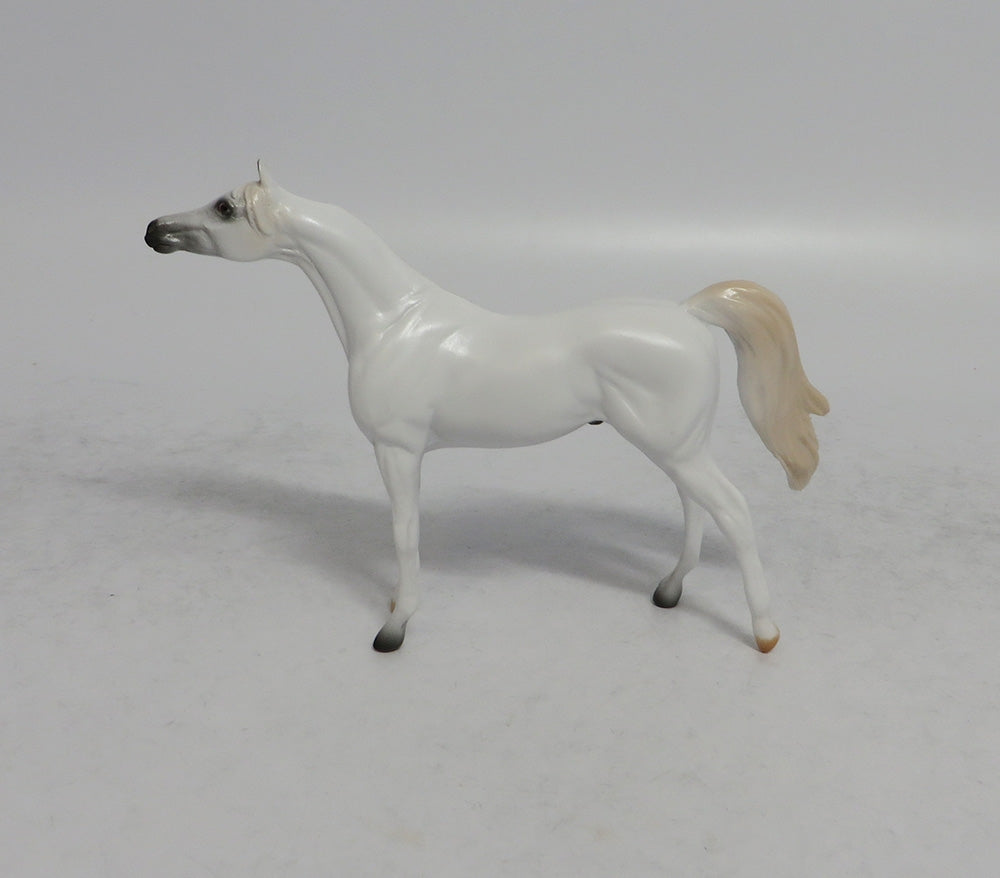 ASH - OOAK GREY ARABIAN CHIP 4/6/2018