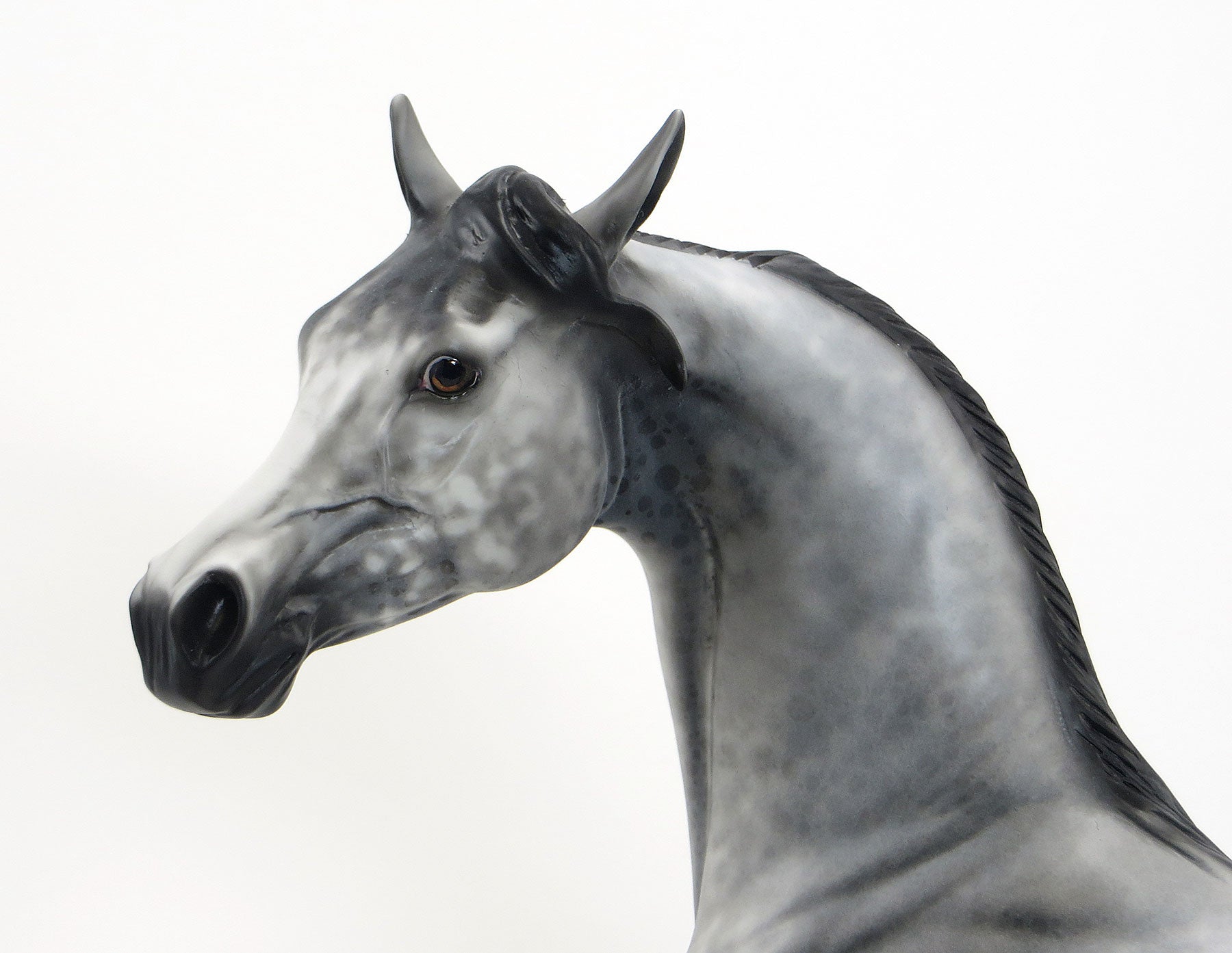THE UNBELIEVABLE ACT - OOAK Extreme Leopard Appaloosa Arabian Model Horse - 6/26