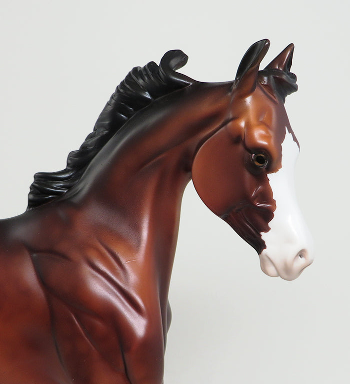 peter stone bay yearling arabain