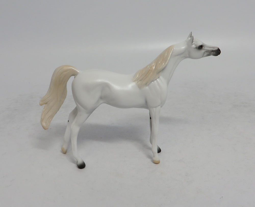 ASH - OOAK GREY ARABIAN CHIP 4/6/2018