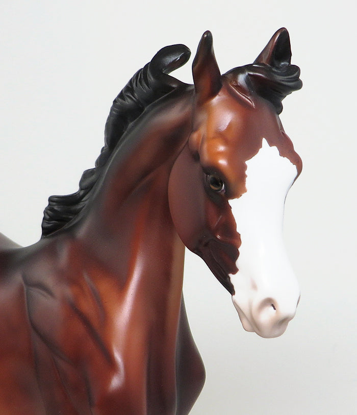 peter stone bay yearling 