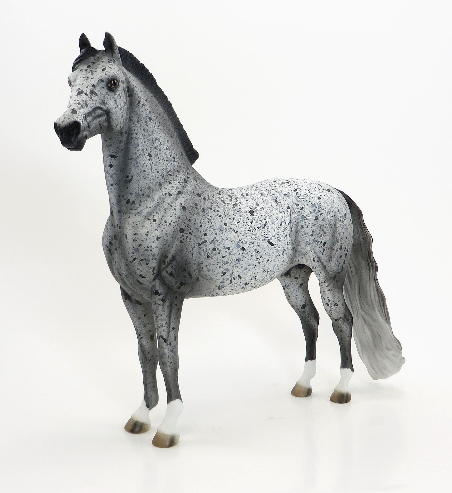 IRON JAW - OOAK Extreme Leopard Appaloosa Morgan Model Horse - 6/15