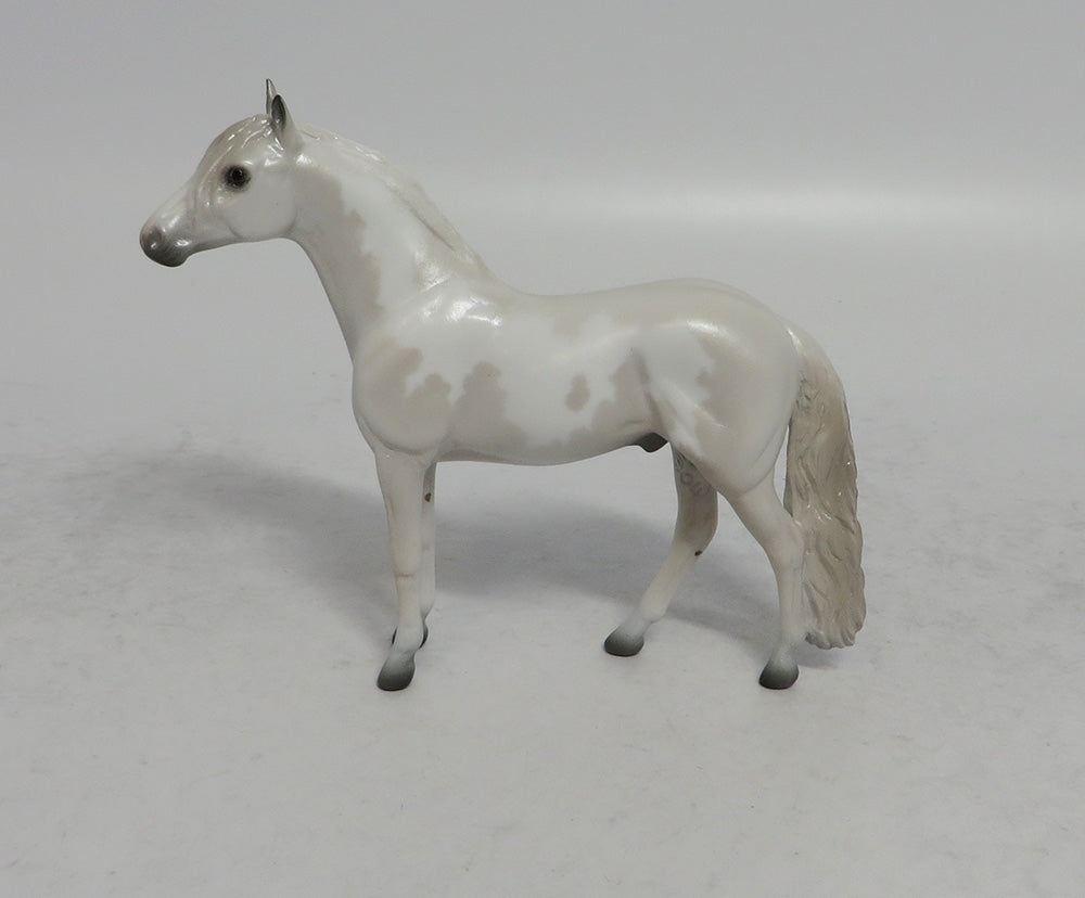 PEARL - OOAK GREY PINTO ANDALUSIAN CHIP 4/6/2018