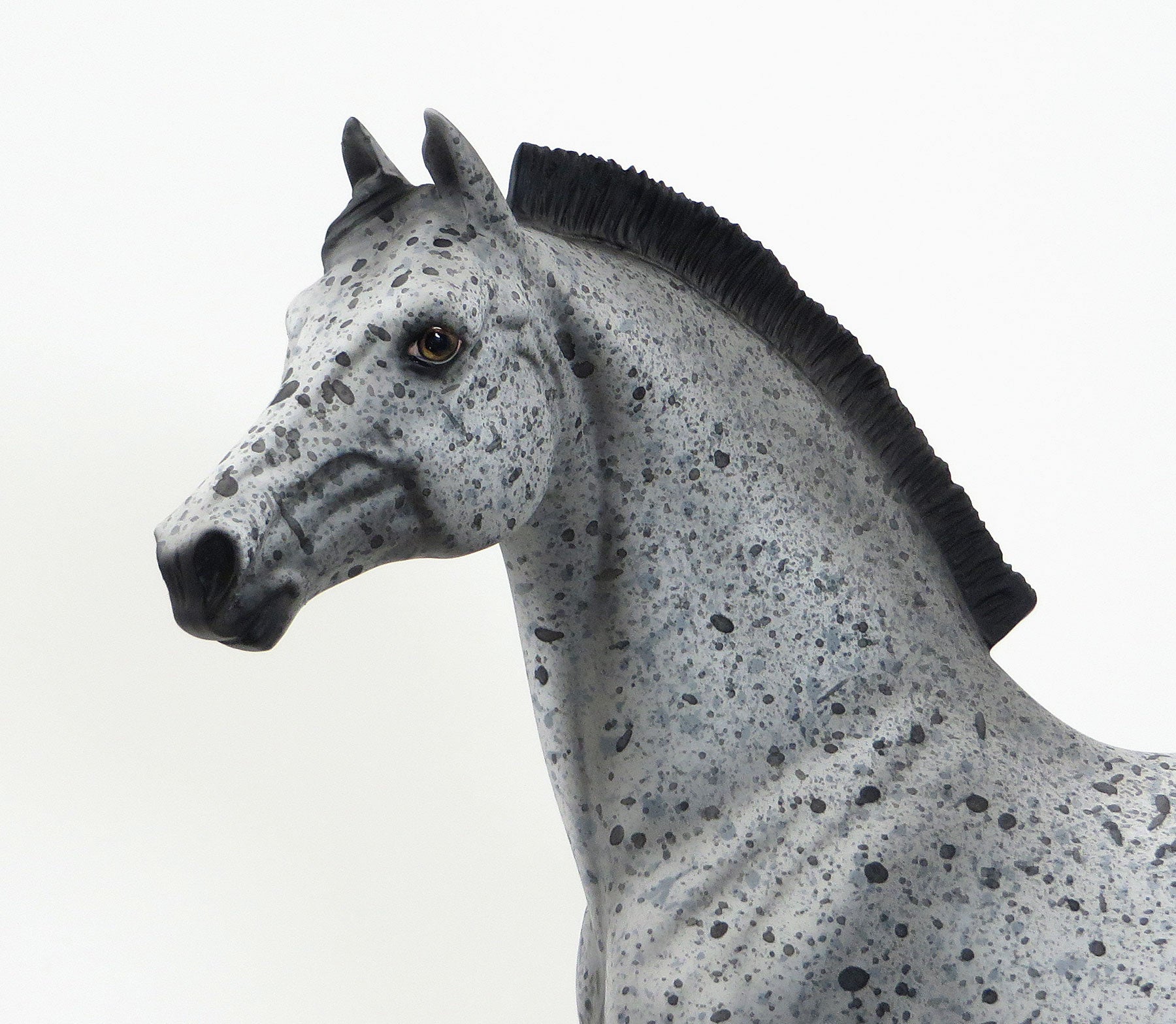 IRON JAW - OOAK Extreme Leopard Appaloosa Morgan Model Horse - 6/15