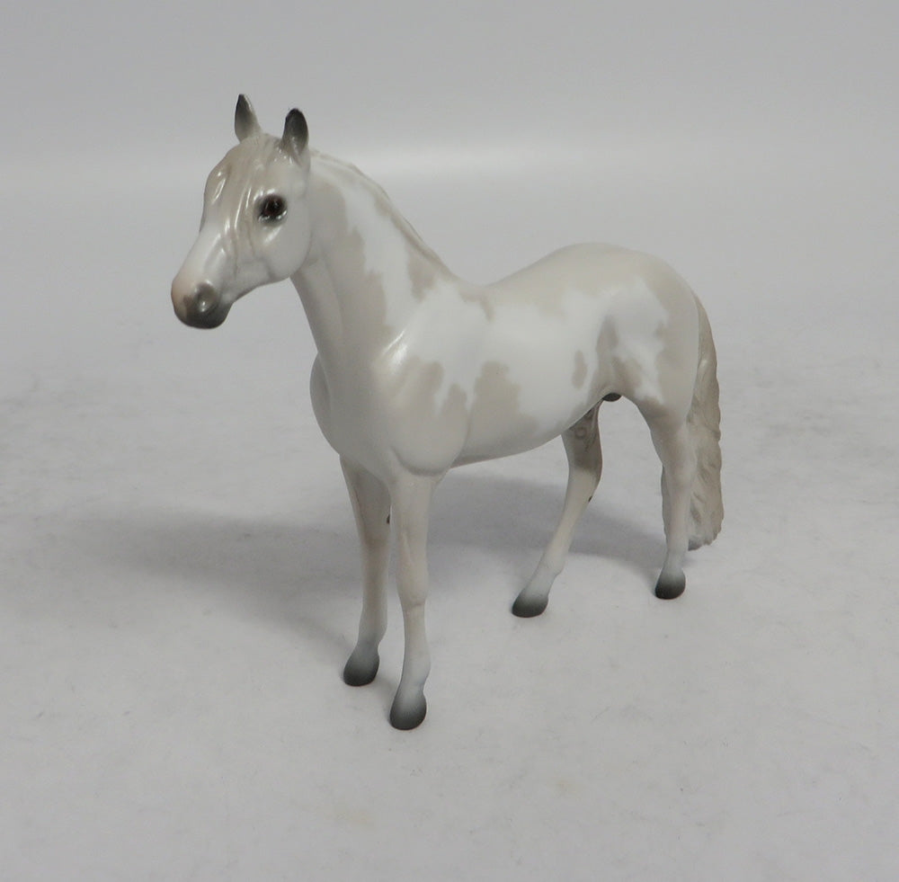 PEARL - OOAK GREY PINTO ANDALUSIAN CHIP 4/6/2018