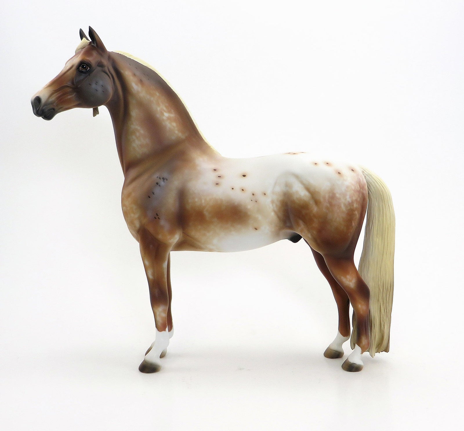 BURNING BRIGHT-  OOAK Extreme Chestnut Leopard Appaloosa Morgan 6/26