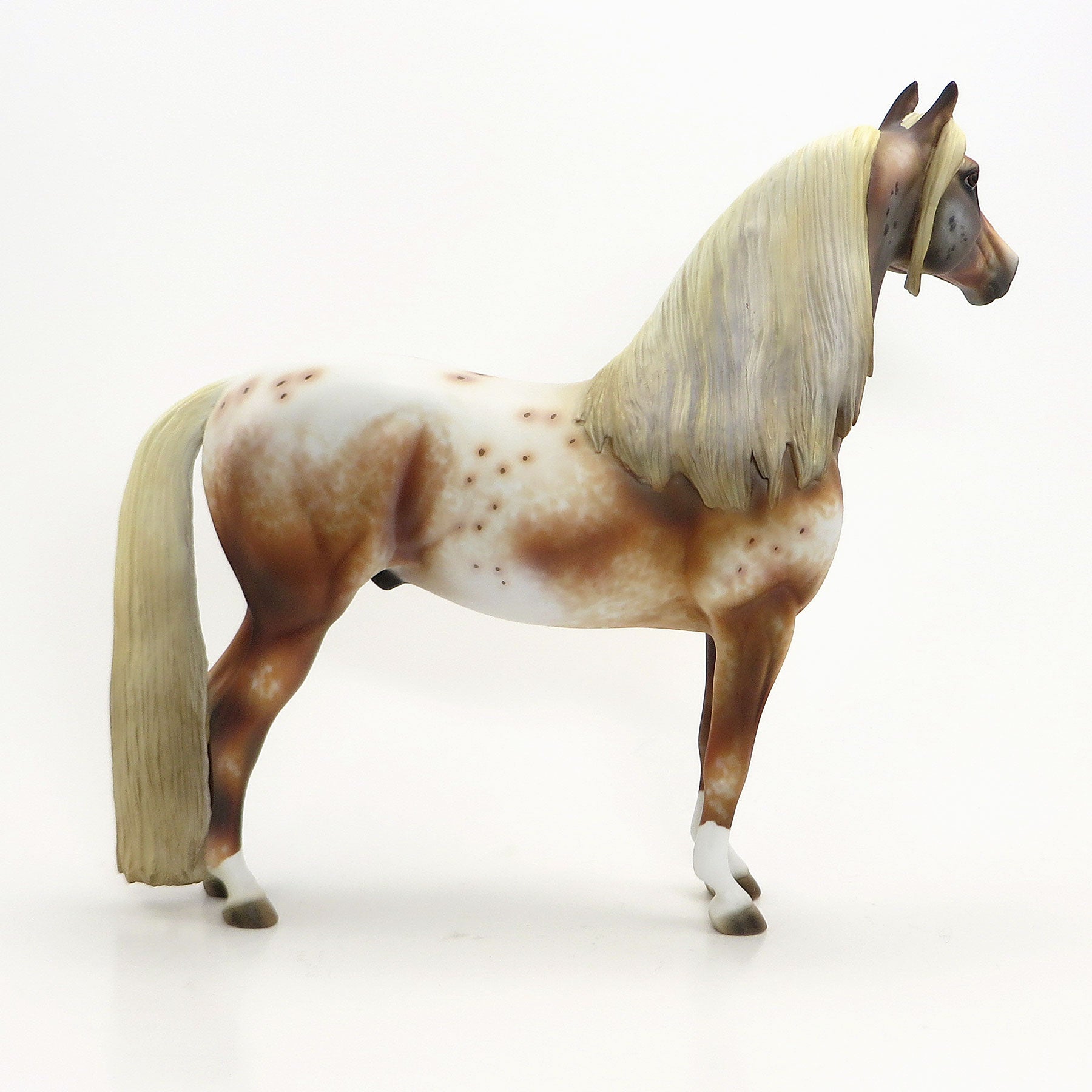 BURNING BRIGHT-  OOAK Extreme Chestnut Leopard Appaloosa Morgan 6/26