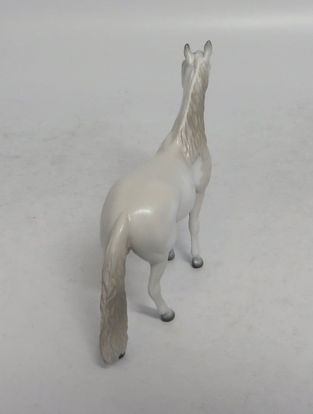 PEARL - OOAK GREY PINTO ANDALUSIAN CHIP 4/6/2018