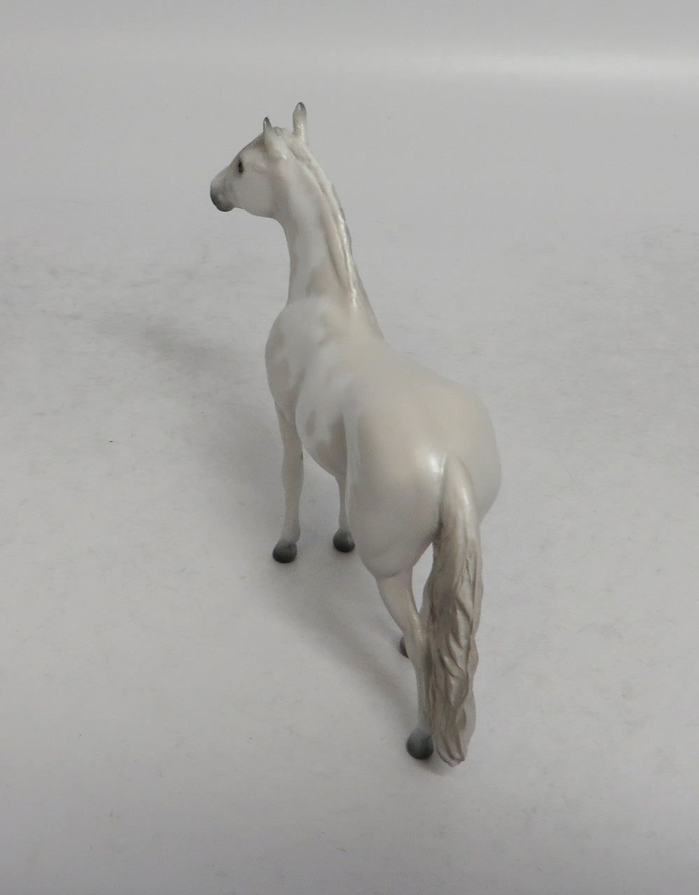 PEARL - OOAK GREY PINTO ANDALUSIAN CHIP 4/6/2018