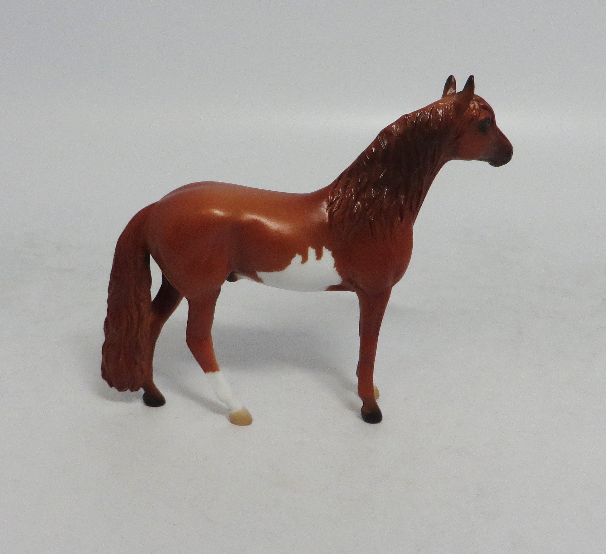 AUBURN - OOAK CHESTNUT PINTO ANDALUSIAN CHIP BY TANSLEY 4/6/2018