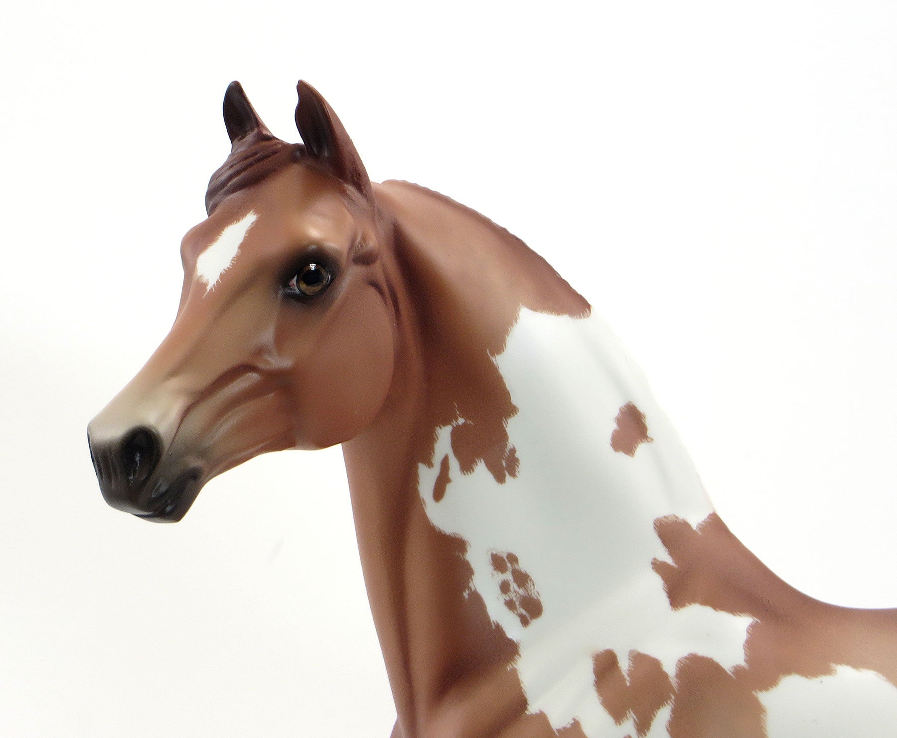 TERRA PLANE - OOAK Chestnut Overo Pinto Morgan with Flowers by Sheryl Leisure - 5/15