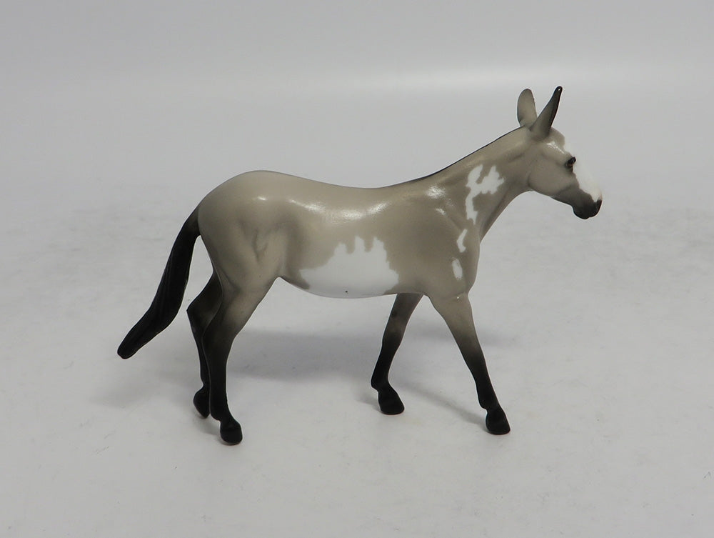 SABLE - OOAK GREY PINTO MULE CHIP 4/6/2018
