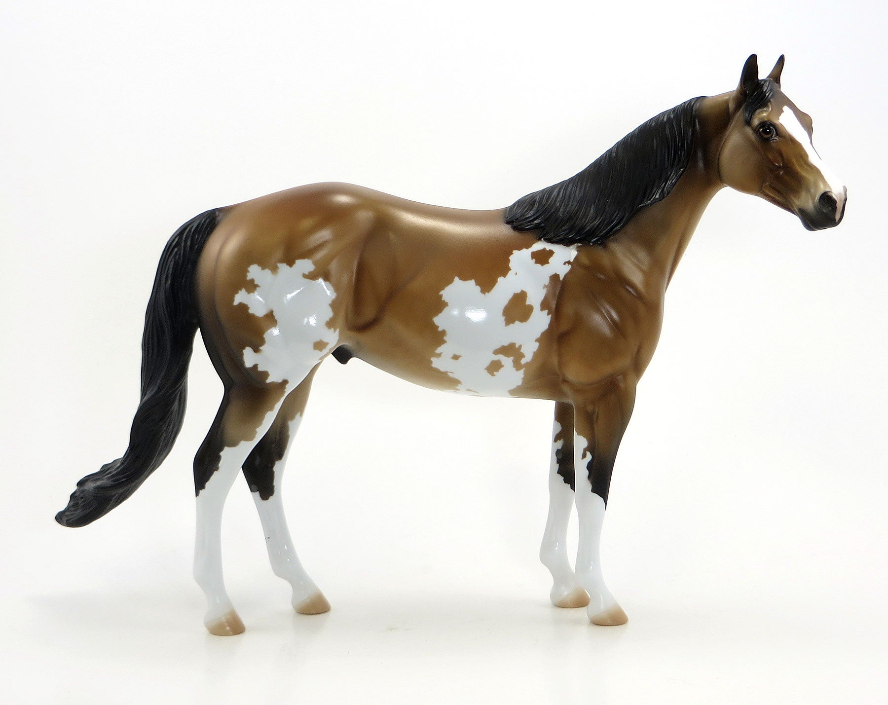 A DAY TO HONOR- LE2 Sooty Buckskin Pinto Stock Horse 7/3