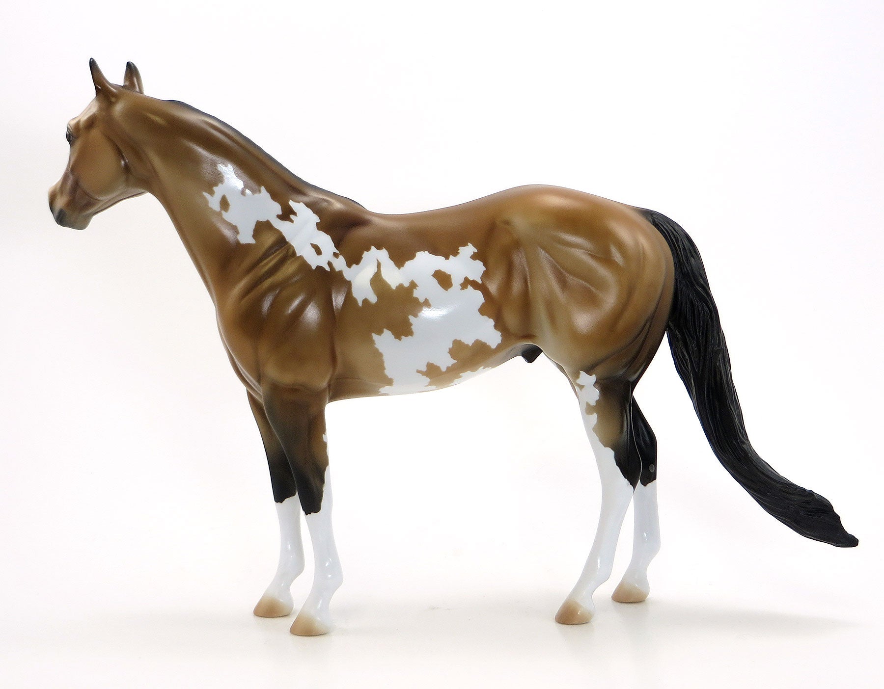 A DAY TO HONOR- LE2 Sooty Buckskin Pinto Stock Horse 7/3