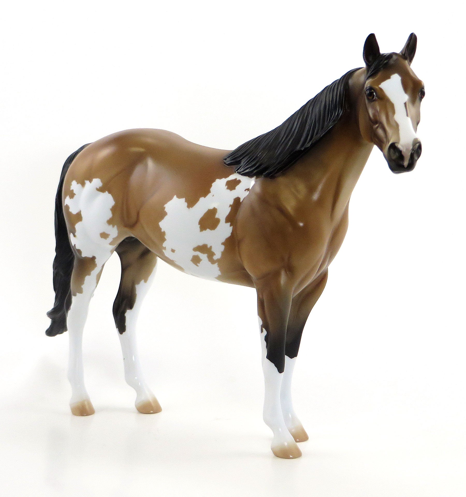 A DAY TO HONOR- LE2 Sooty Buckskin Pinto Stock Horse 7/3