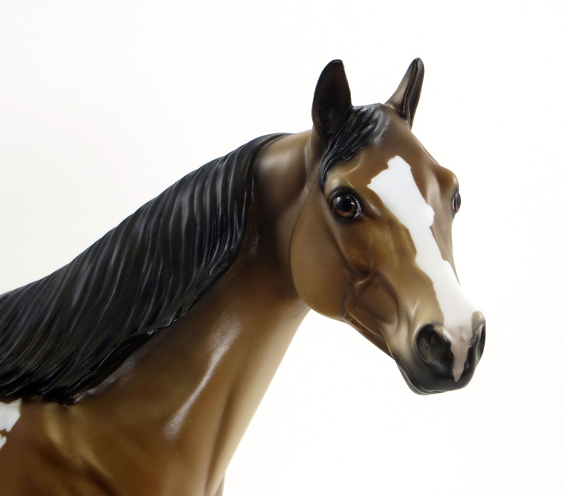 A DAY TO HONOR- LE2 Sooty Buckskin Pinto Stock Horse 7/3