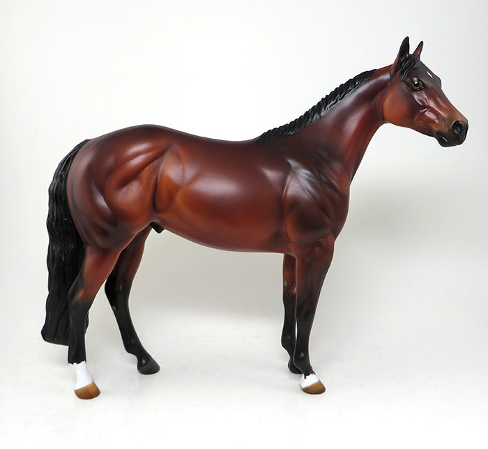 the invitation model horse 