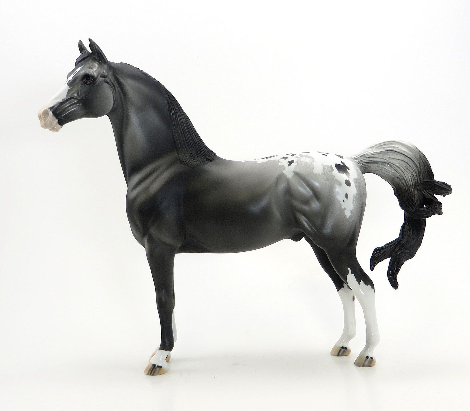 WE SALUTE YOU- OOAK Black Appaloosa Morgan Model Horse - 7/3