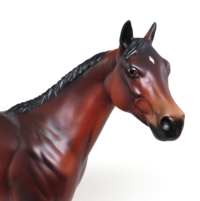 bay stallion the invitation