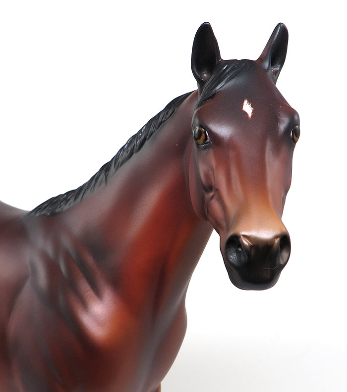 limited edition stallion