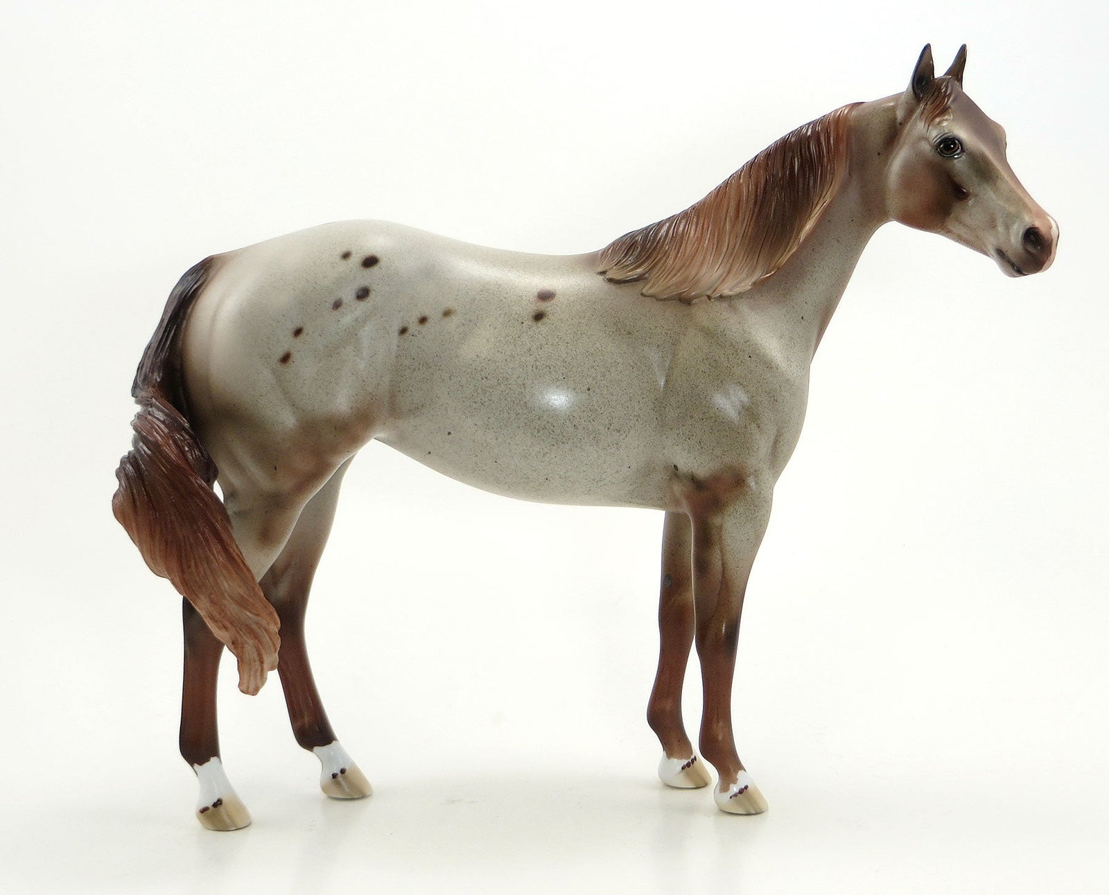 SWEET LIBERTY - OOAK Chestnut Appaloosa Model Stock Horse - 7/3