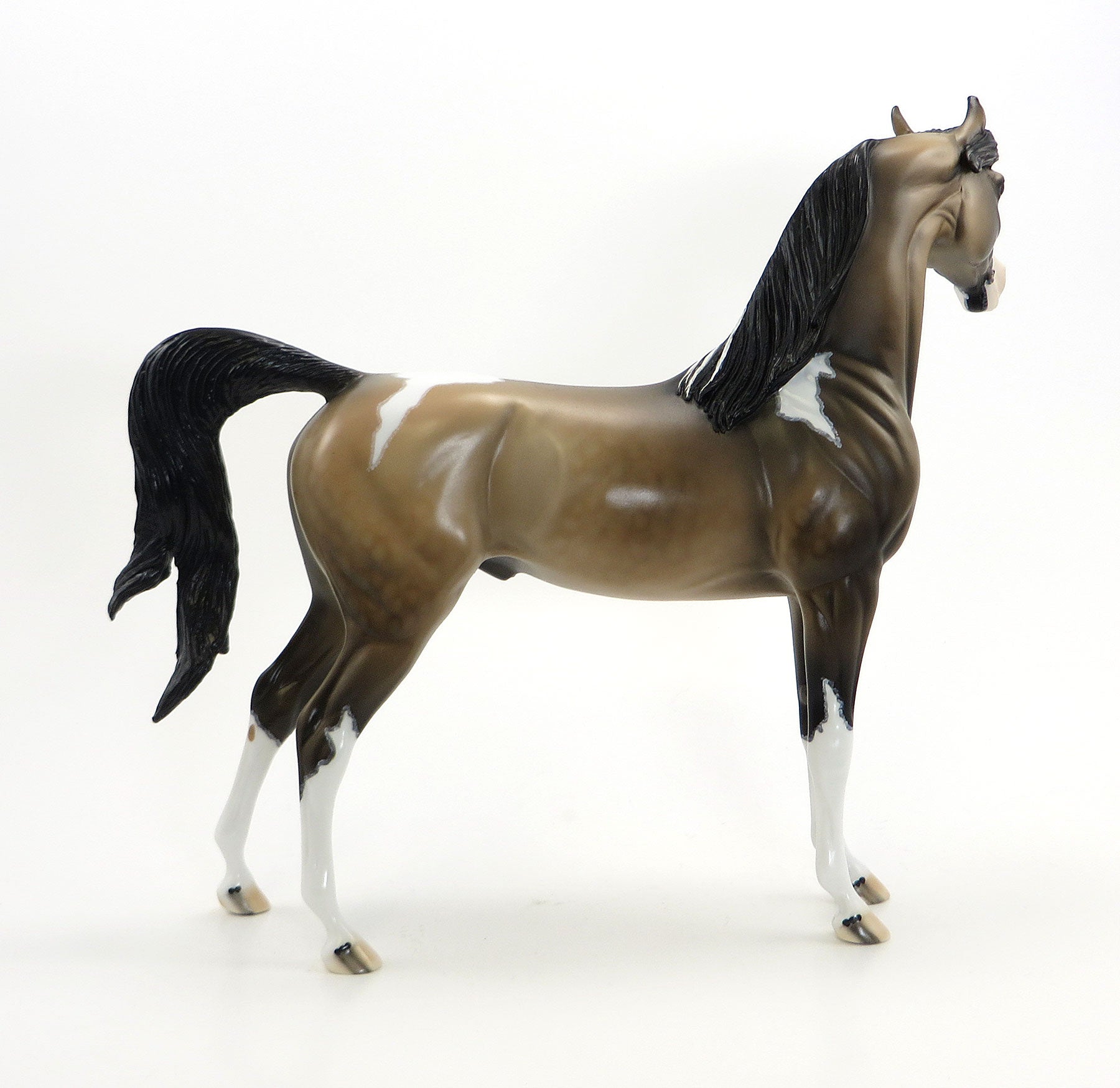 FRENZY OF FIREWORKS - OOAK Sooty Buckskin  Pinto Arabian with Mapping - 7/3