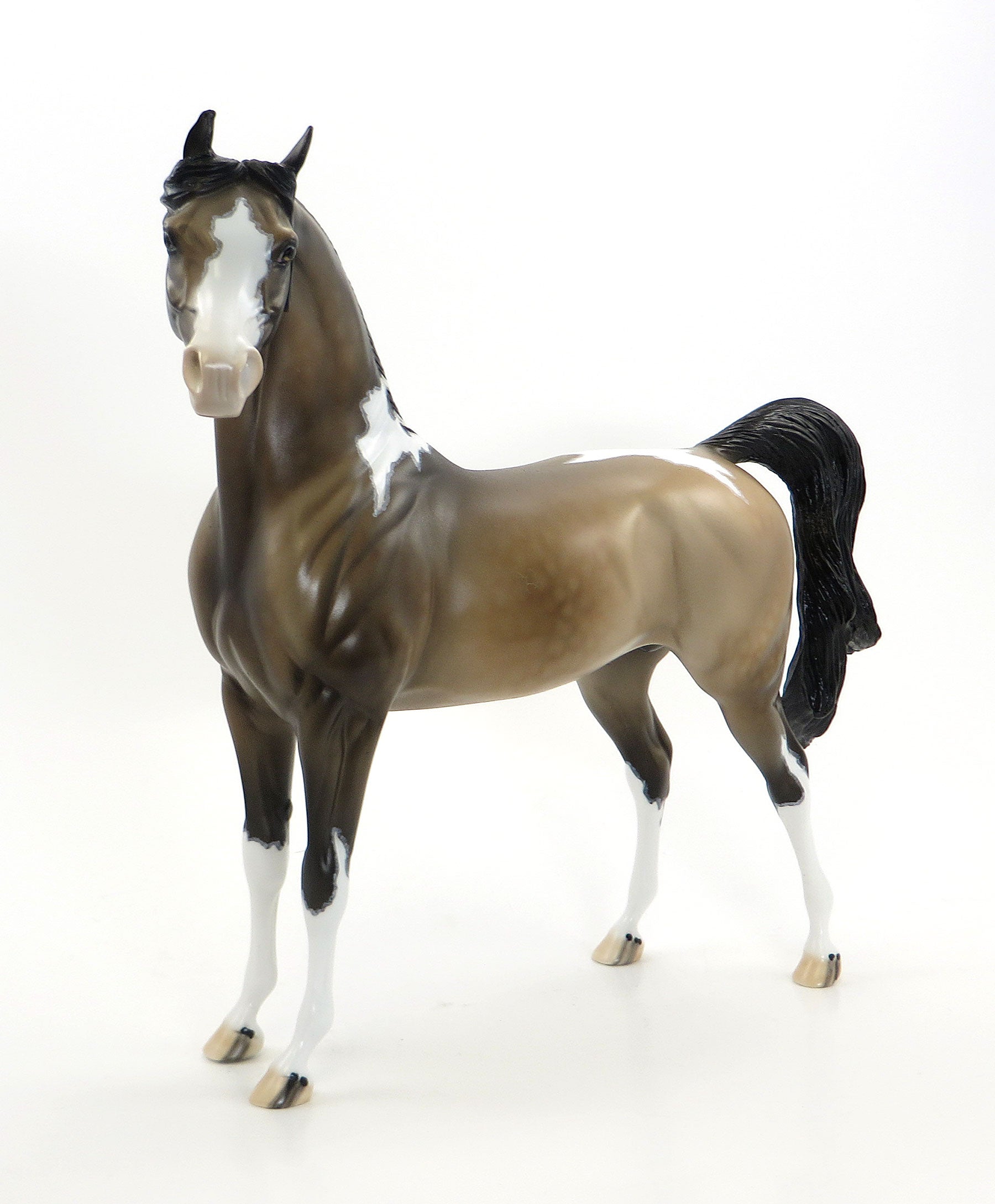 FRENZY OF FIREWORKS - OOAK Sooty Buckskin  Pinto Arabian with Mapping - 7/3