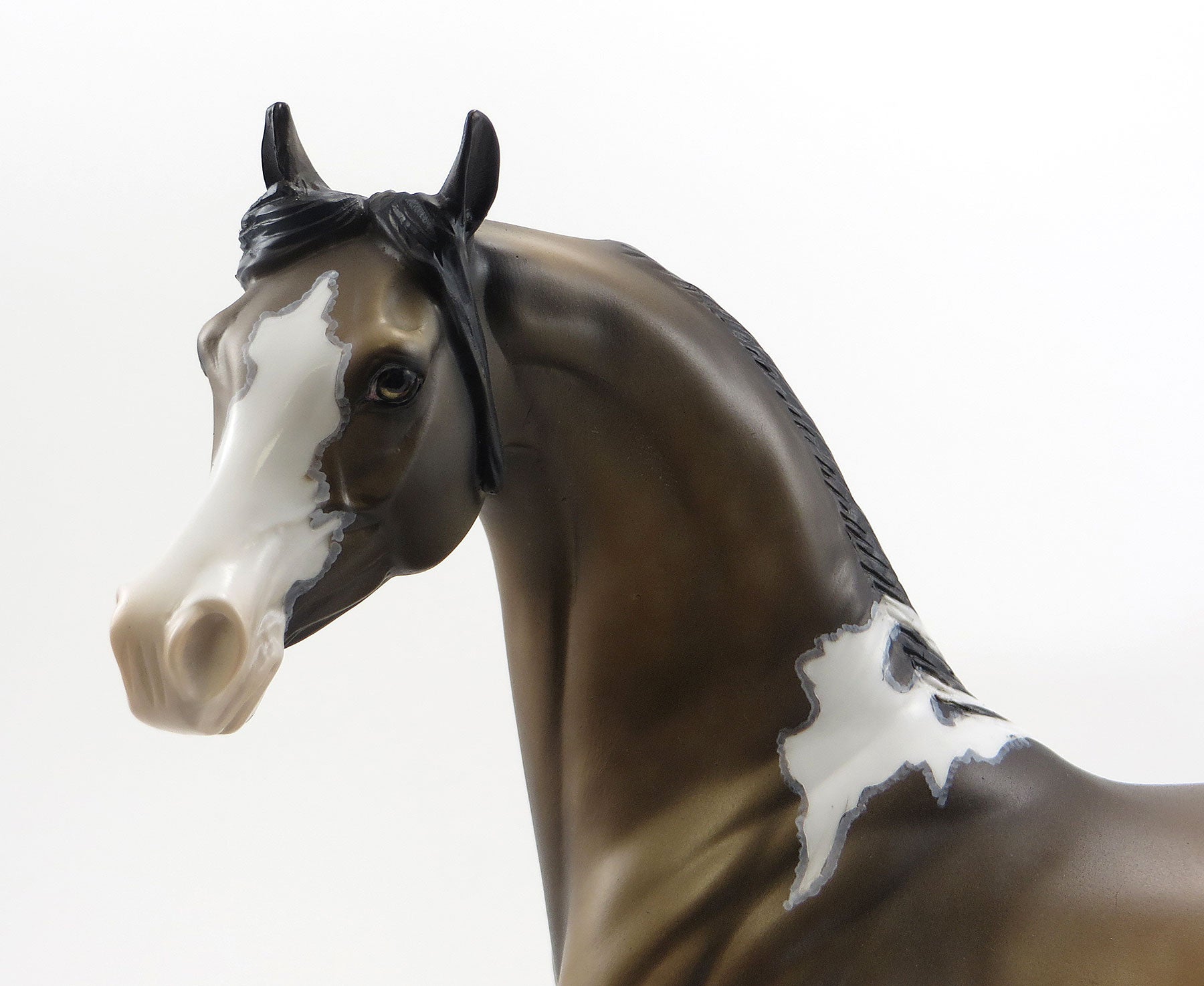 FRENZY OF FIREWORKS - OOAK Sooty Buckskin  Pinto Arabian with Mapping - 7/3