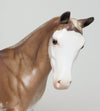 chestnut weanling 