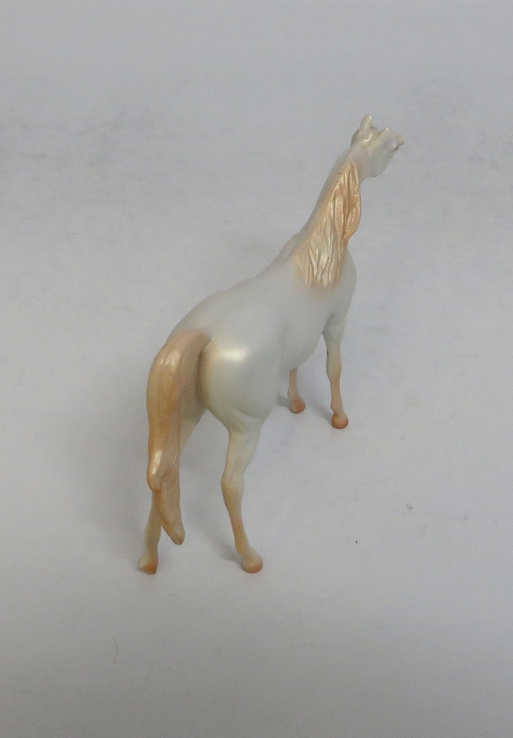 OPAL - OOAK PERLINO ARABIAN CHIP BY TANSLEY 4/6/2018