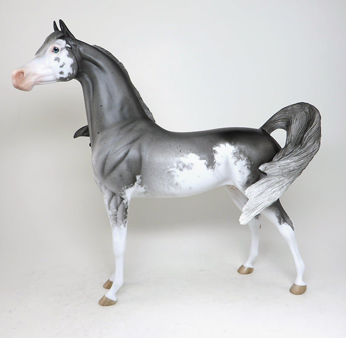 sabino arabian