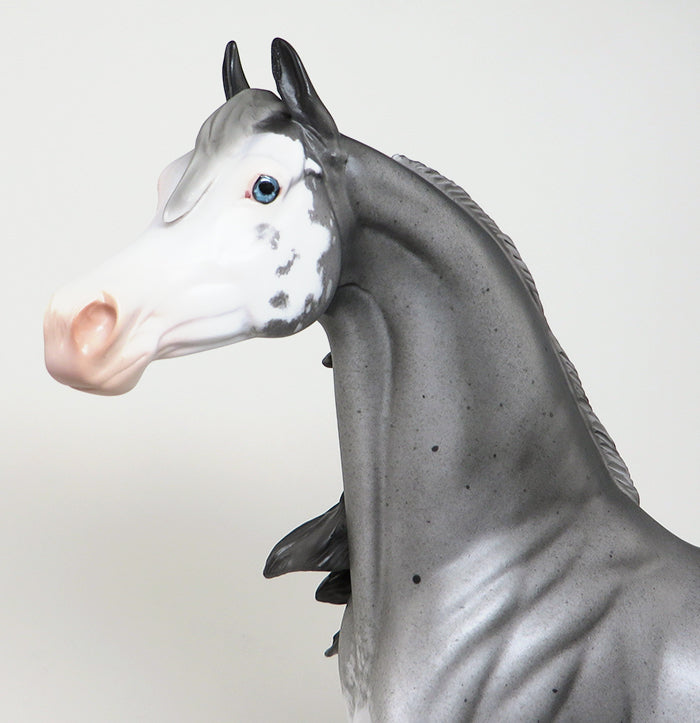 sabino arabian hard days night