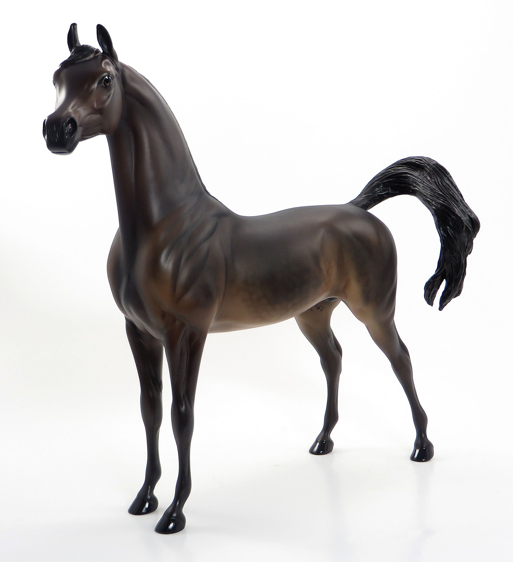 STANDING WITH INDEPENDENCE - OOAK Dark Bay Arabian  7/3