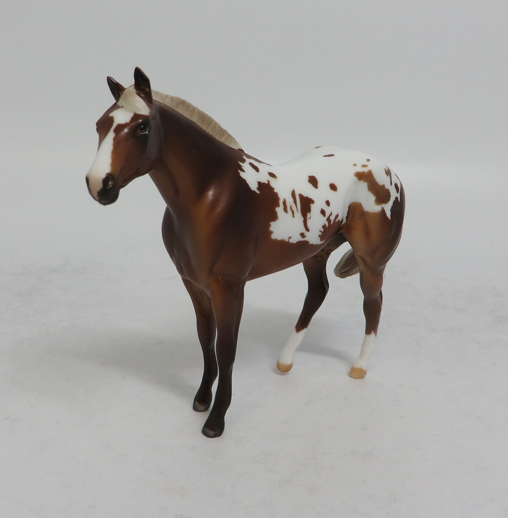 GAHANNA MINI ME - LE7 CHESTNUT APPALOOSA STOCK CHIP EA2018