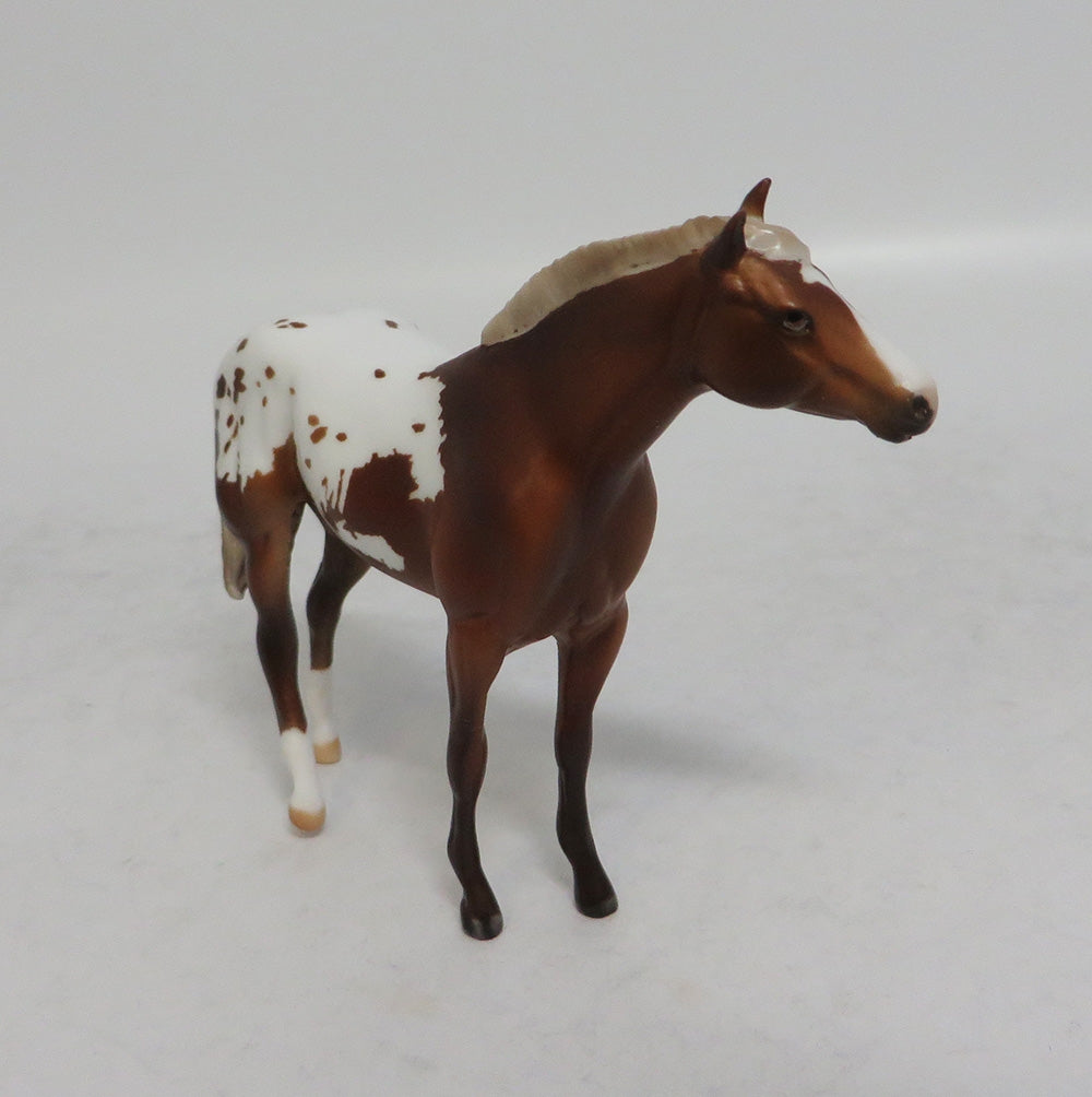 GAHANNA MINI ME - LE7 CHESTNUT APPALOOSA STOCK CHIP EA2018