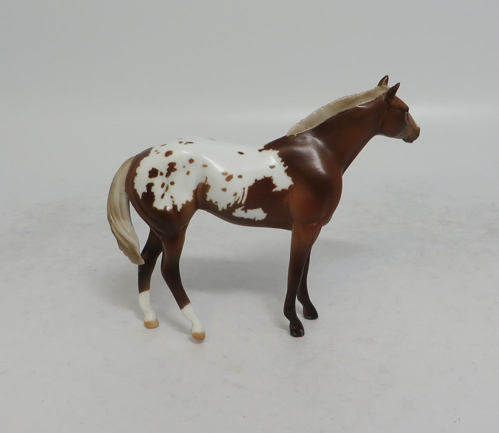 GAHANNA MINI ME - LE7 CHESTNUT APPALOOSA STOCK CHIP EA2018