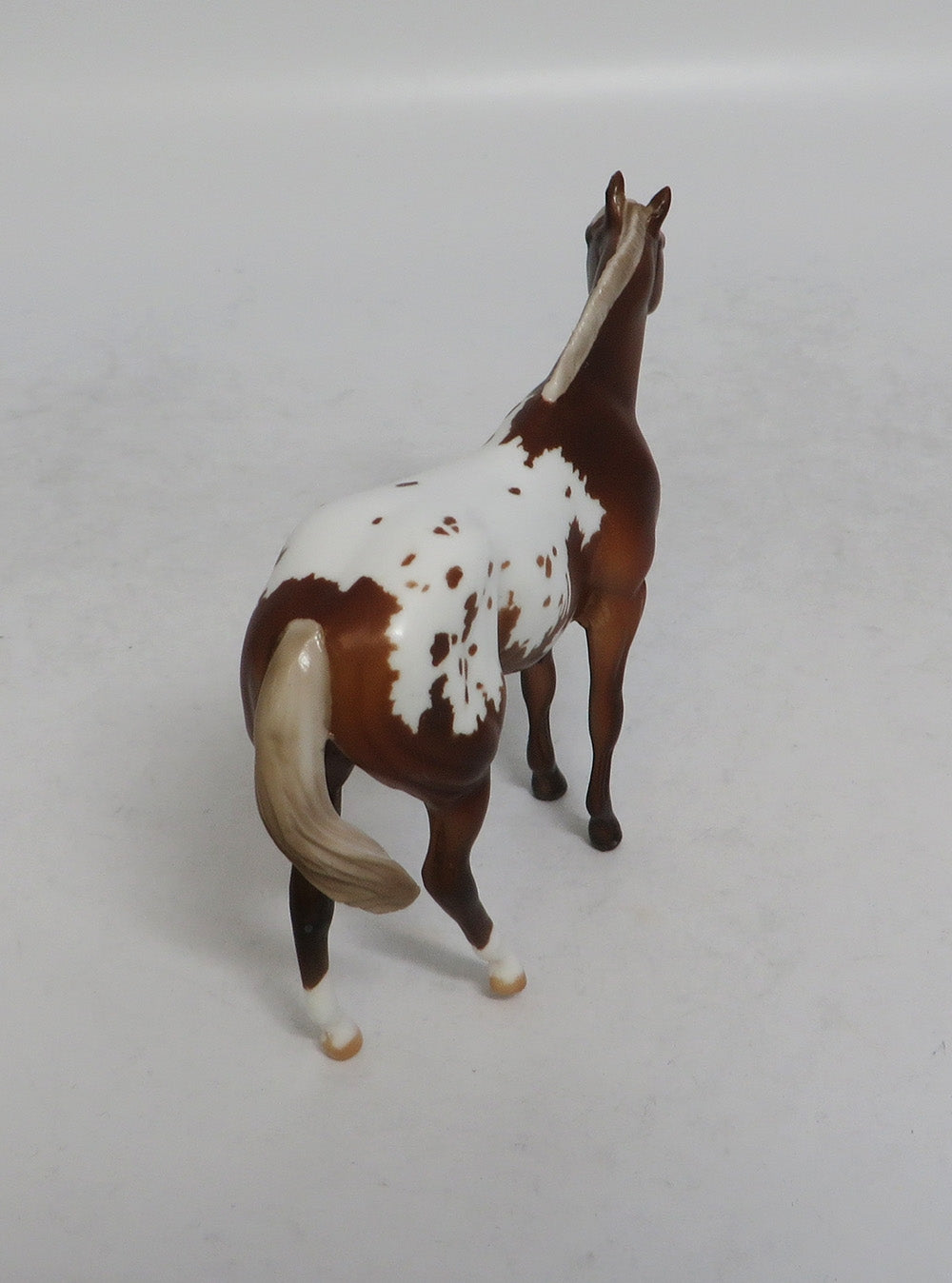 GAHANNA MINI ME - LE7 CHESTNUT APPALOOSA STOCK CHIP EA2018