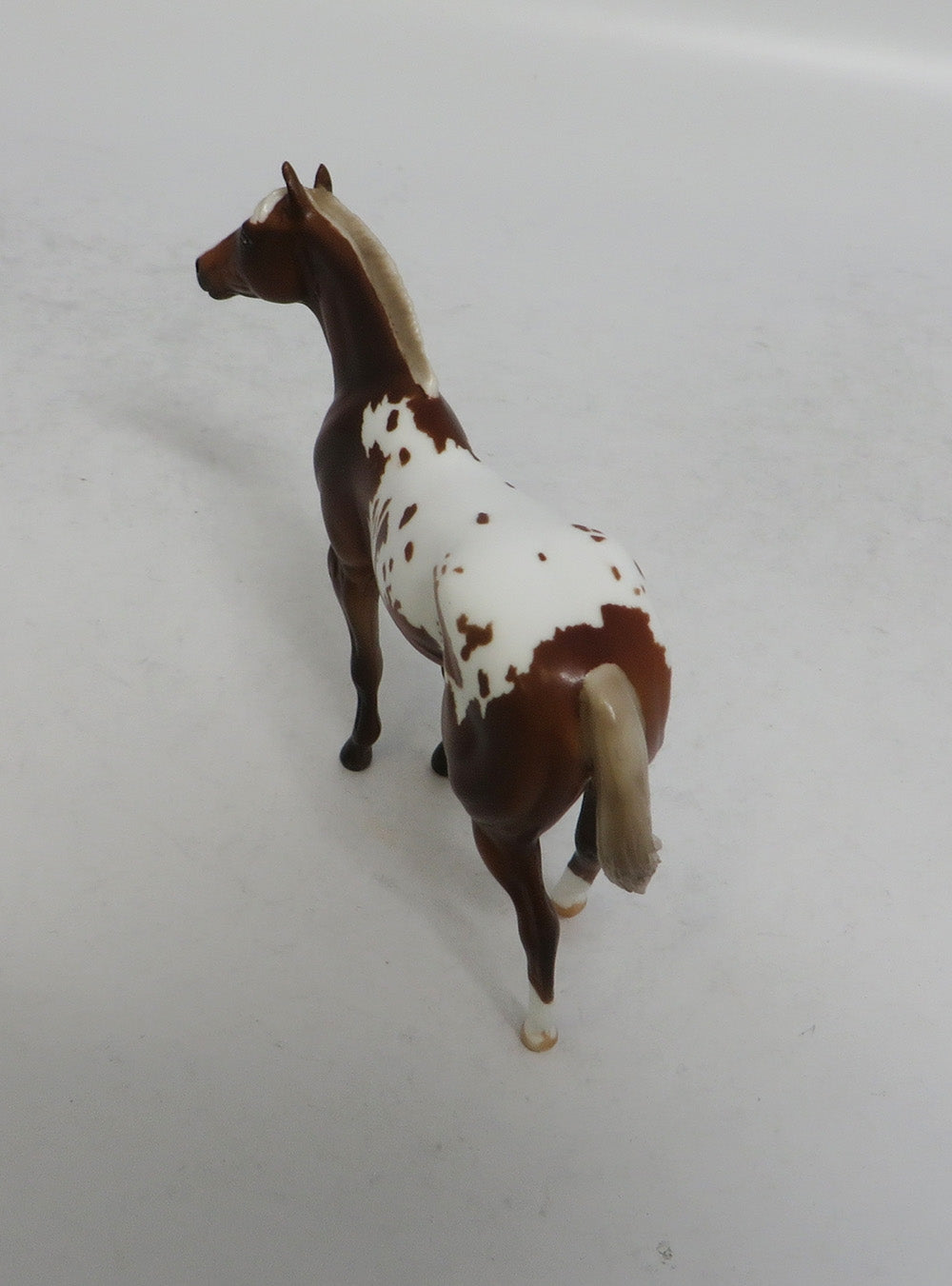 GAHANNA MINI ME - LE7 CHESTNUT APPALOOSA STOCK CHIP EA2018